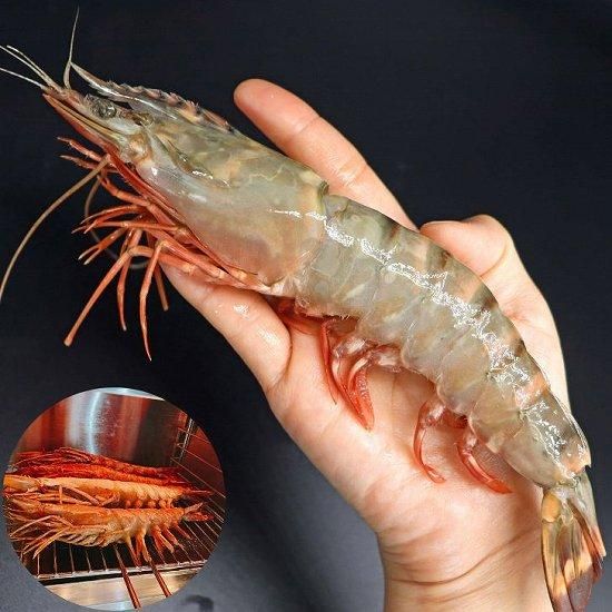 天然】超特大！約20～22センチ！有頭シータイガー20尾 (22