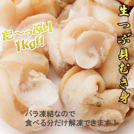 深海貝殻　まとめ売り1-6 SF磯浜半月4平 涼潮青本体 | 製品詳細 | シーピー化成株式会社