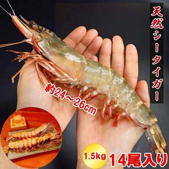 6礪ޤȤǤĶĶ硪2426ͭƬ14 6祻å(21)