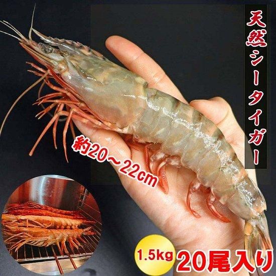 6礪ޤȤǤŷ Ķ硪2022ͭƬ20 6祻å (22)