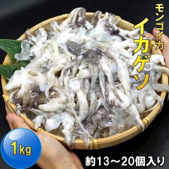 å  ­ 13/20 1kg 󥫻(1235)ŷפ顢ե饤ˡ