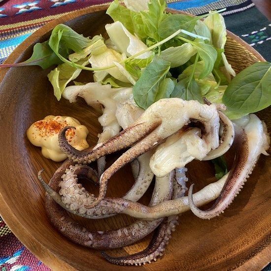 10kgおまとめでお得!】柔らかい身質!アオリイカ ゲソ下足 13 10kgおまとめでお得!】柔らかい身質!アオリイカ ゲソ下足 13