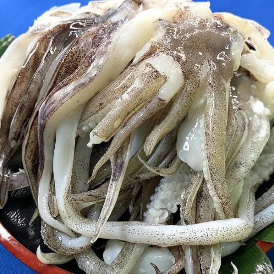 10kgおまとめでお得!】柔らかい身質!アオリイカ ゲソ下足 13 10kgおまとめでお得!】柔らかい身質!アオリイカ ゲソ下足 13