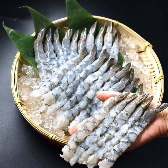 伸ばし海老 16/20 サイズ 20尾（380g）約15-16cm (518