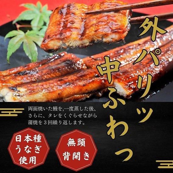 にほんうなぎの蒲焼 日本種（ジャポニカ種）無頭背開き 約220g(1