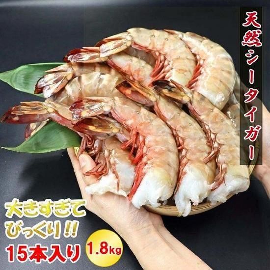 天然シータイガー 無頭 超超特大 約15尾入り 1.8kg(296