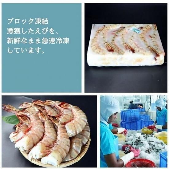 天然シータイガー 無頭 超超特大 約15尾入り 1.8kg(296