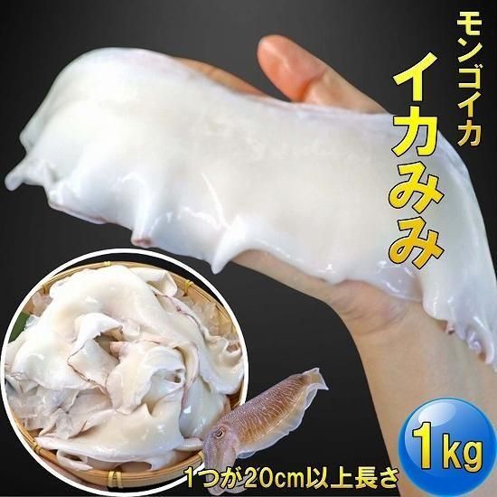 åߥ 20cmʾ奵 1kg 󥴥 󥫻(1119)
