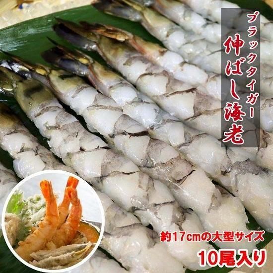 ֥åФϷ 13/15 10245g 17cm緿 (666)