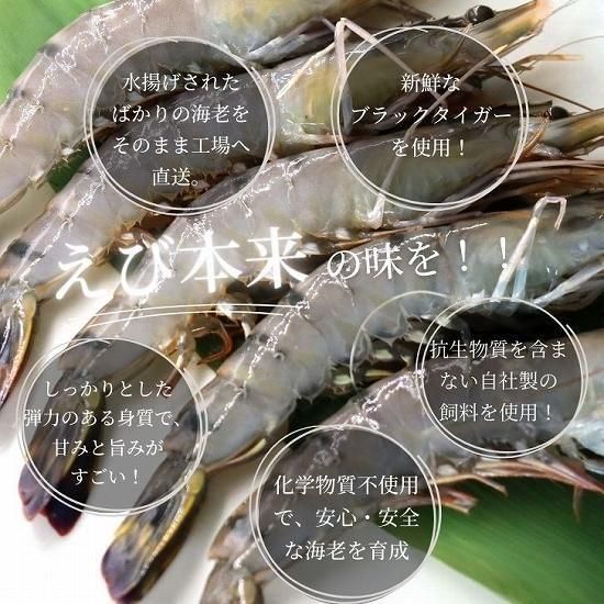 えびくま（感謝） 海老の極 ブラックタイガー 特大 800g （27尾入り）生食可 エビ 冷凍