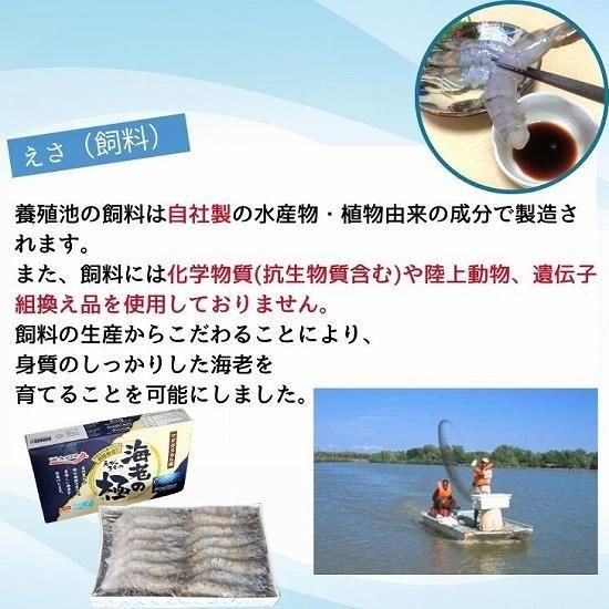 かっぱエビ マジックキングバタフライ タイのお守り プラクルアン かっぱエビ マジックキングバタフライ タイのお守り