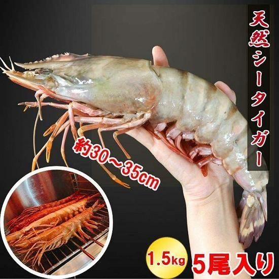 ŷĶĶ硪3035ͭƬ5 Ź祵١(01)