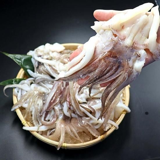 餫ȼꥤ­8/121kg󥫻(1484)ŷפ顢֤ʪ