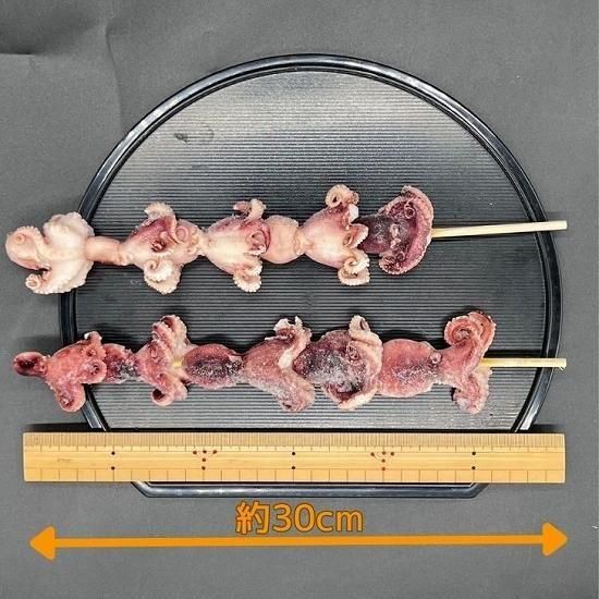 󣳣ӥå 1100g 10ꡡ5ѥå (1200)