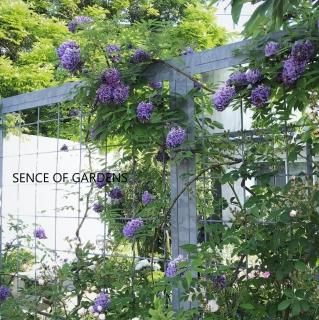 GARDENS ONLINESHOP | ガーデンズ | 香川県高松市
