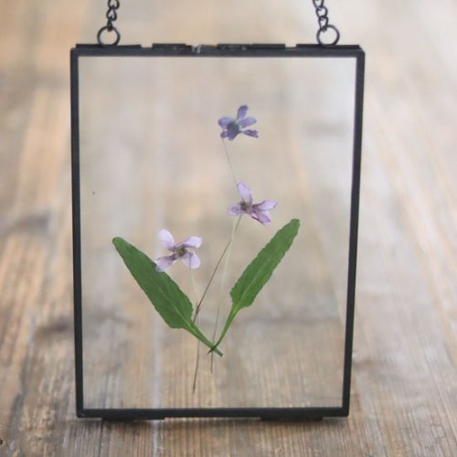 Hanging photo frame