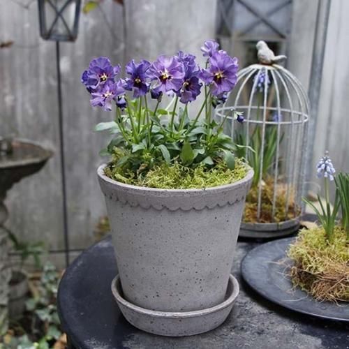 HELENA-GRAY 12cm21cmȼԤȤʤꡢBERGSʳξʤȤƱϤǤޤ