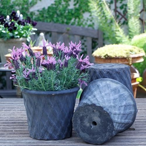 B-GREEN - GARDENS ONLINESHOP | ガーデンズ | 香川県高松市