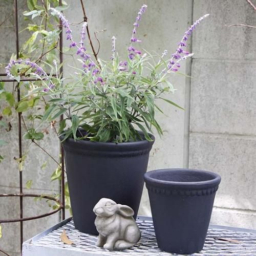 B-GREEN - GARDENS ONLINESHOP | ガーデンズ | 香川県高松市 B-GREEN - GARDENS ONLINESHOP | ガーデンズ | 香川県高松市