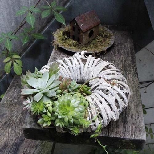Succulent Wreath