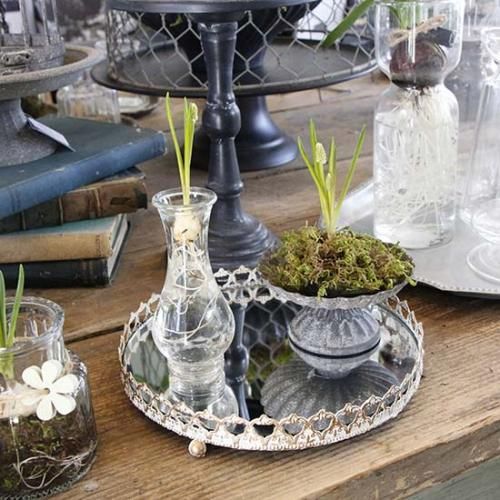 商品検索 - GARDENS ONLINESHOP | ガーデンズ | 香川県高松市