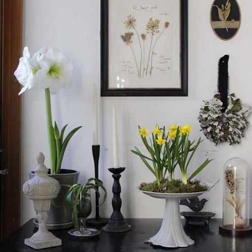 OTHERS - GARDENS ONLINESHOP | ガーデンズ | 香川県高松市 OTHERS - GARDENS ONLINESHOP | ガーデンズ | 香川県高松市
