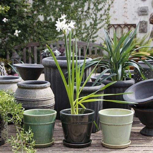 POTS - GARDENS ONLINESHOP | ガーデンズ | 香川県高松市 POTS - GARDENS ONLINESHOP | ガーデンズ | 香川県高松市