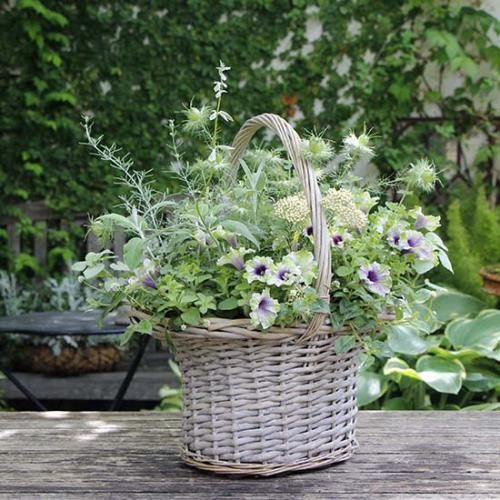 <img class='new_mark_img1' src='https://img.shop-pro.jp/img/new/icons14.gif' style='border:none;display:inline;margin:0px;padding:0px;width:auto;' />race  basket