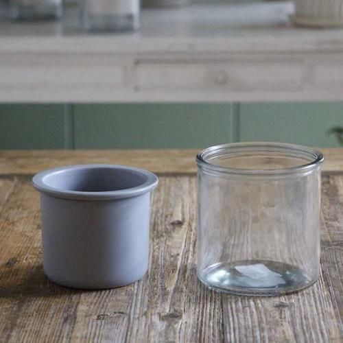 アロカシア 13種セット アロカシア 13種セット