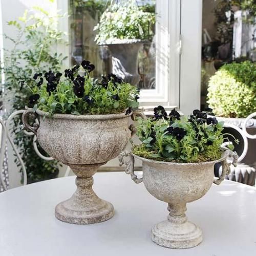 商品検索 - GARDENS ONLINESHOP | ガーデンズ | 香川県高松市