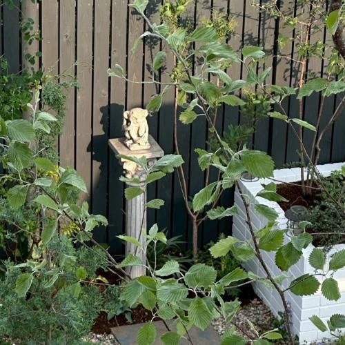 スポード　フローラルタペストリー　ポット　２人用セット 商品検索 - GARDENS ONLINESHOP | ガーデンズ | 香川県高松市