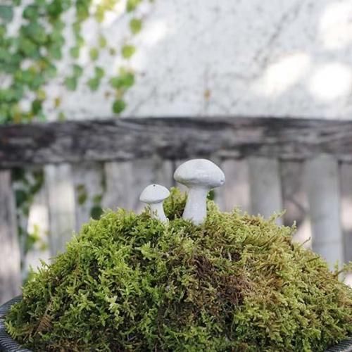 <img class='new_mark_img1' src='https://img.shop-pro.jp/img/new/icons14.gif' style='border:none;display:inline;margin:0px;padding:0px;width:auto;' />Mark svamp