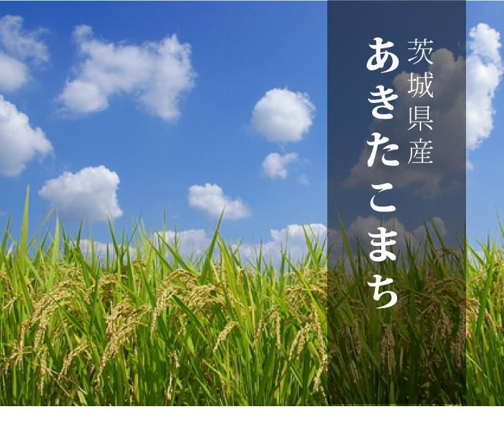 鴻魅　お米 令和3年 愛媛県産あきたこまち 玄米 30kg 楽天市場】愛媛県産 あきたこまち 玄米 30kg 令和6年産使用 30