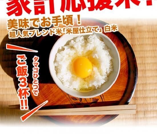 農家直送米 国内産100％ ブレンド米 20kg 白米 安い 10kg×2 複数