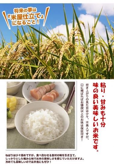 国産米100%ブレンド米 30kg 安くて美味しい!業務用や 国産米100%ブレンド米 30kg 安くて美味しい!業務用や