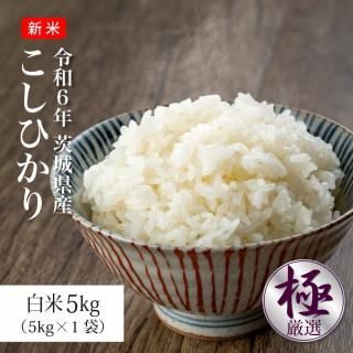 新米令和5年 埼玉県産コシヒカリ白米20kg