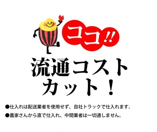 令和6年 新米 茨城県産 コシヒカリ 白米 30kg 令和6年 新米 茨城県産 コシヒカリ 白米 30kg