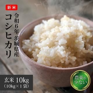 茨城30年産新米あきたこまち玄米20㎏食品/飲料/酒