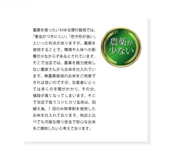 新米 令和5年 茨城県産コシヒカリ玄米30kg