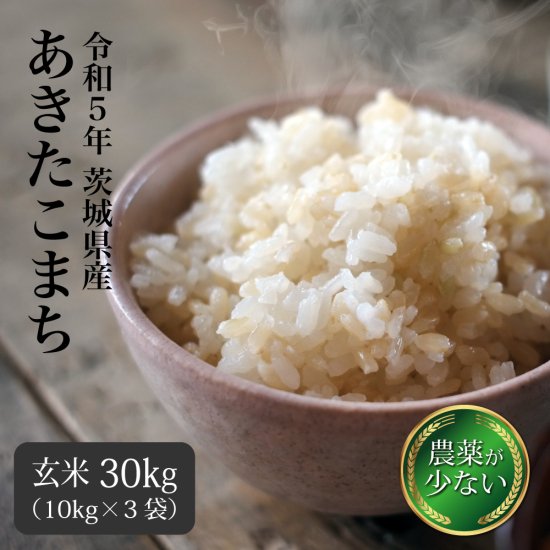 お米　令和元年　愛媛県産あきたこまち　玄米　20㎏米/穀物