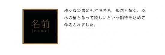 令和6年新米 栃木県産 とちぎの星 白米30kg 令和6年新米 栃木県産 とちぎの星 白米30kg