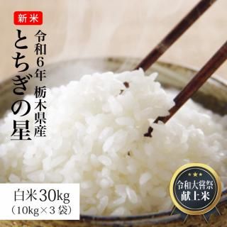 米 30kg お米 とちぎの星 白米 新米 令和6年（10kg×3袋）栃木県産 送料別途 沖縄・離島不可（お一人様1点限り）