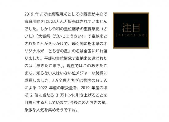 令和6年新米 栃木県産 とちぎの星20kg
