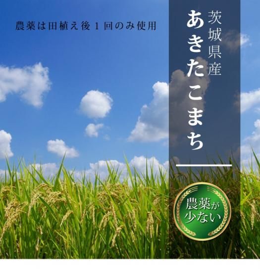 あきたこまち 10kg 白米 茨城県産 令和6年 新米