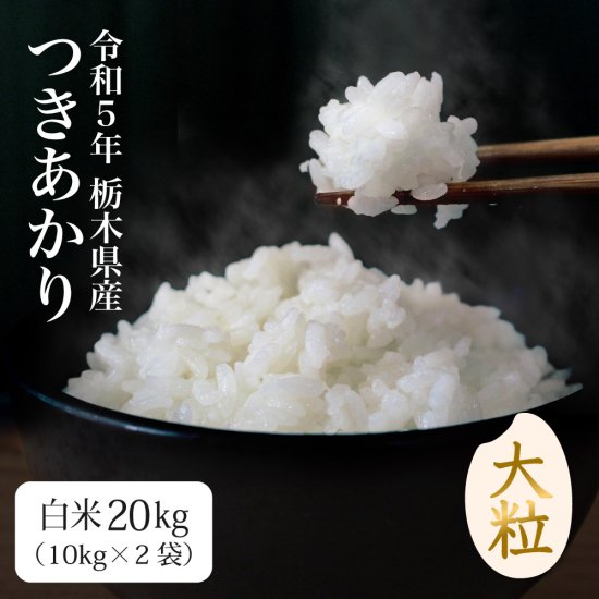 数量限定】新米 玄米 令和5年 栃木県産 コシヒカリ 20キロ - 米/穀物