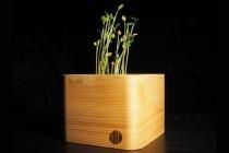 <img class='new_mark_img1' src='https://img.shop-pro.jp/img/new/icons1.gif' style='border:none;display:inline;margin:0px;padding:0px;width:auto;' />ڤι  ܡΩ夲ǰץ󥿡åȡʥꥢʥС