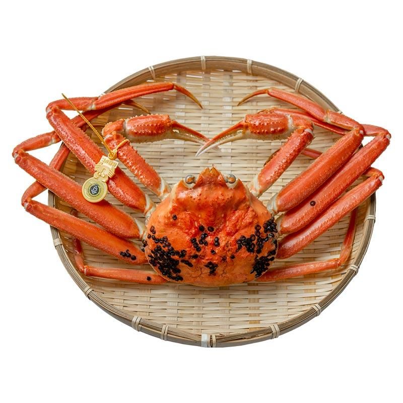 カニ 殻付き 蟹爪 カニ爪 かに 特大5L ボイル済み ズワイガニ爪