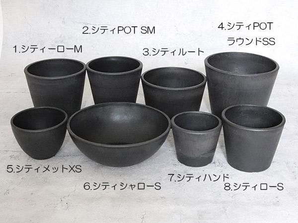 大鉢1 ishidaseikaen_hs-045