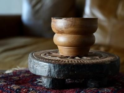 ICHIGU - bio plants（ビオプランツ）