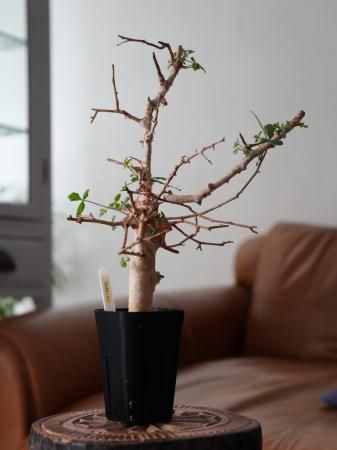 188308075.jpg?cmsp_timestamp=